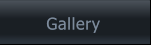 Gallery Gallery
