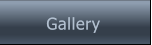 Gallery Gallery